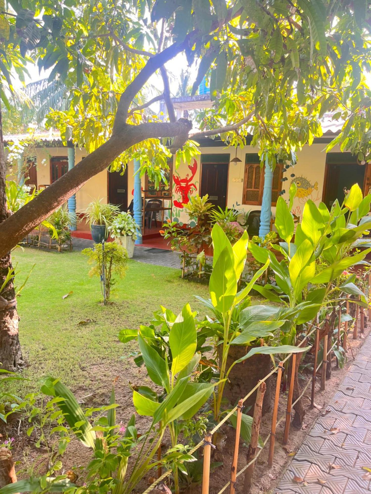 Lobster Inn Trincomalee Luaran gambar