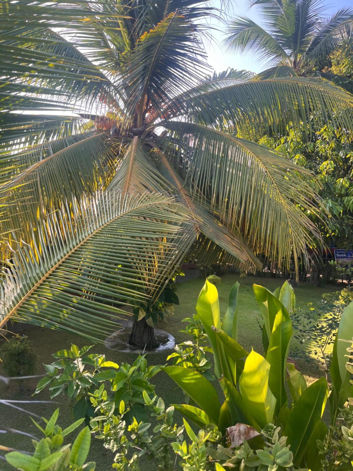 Lobster Inn Trincomalee Luaran gambar