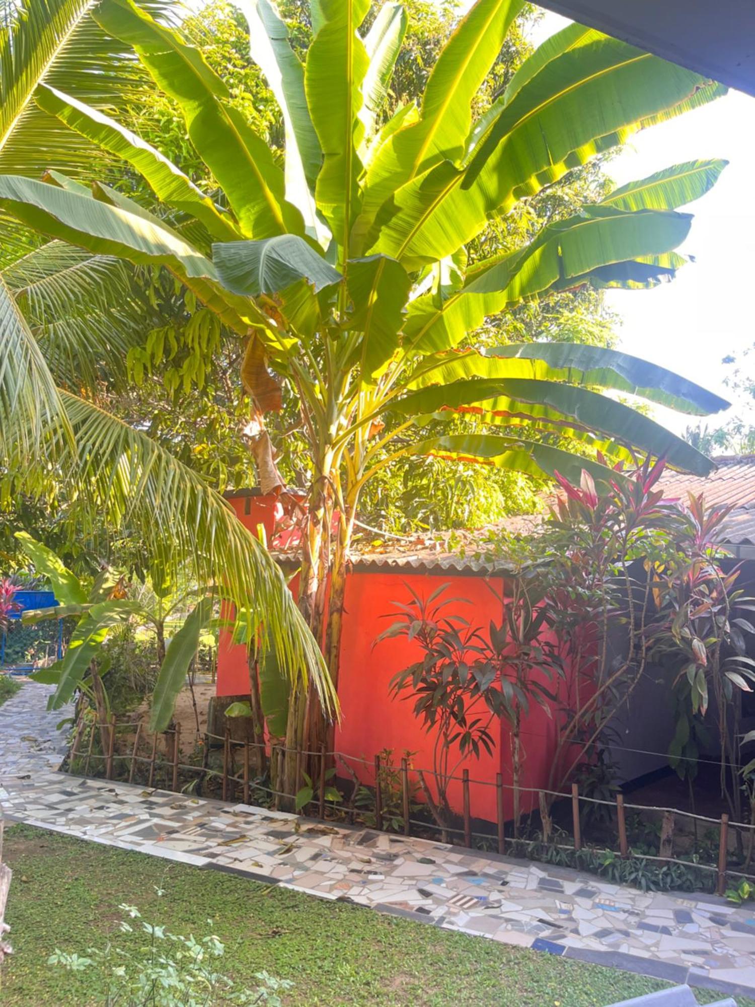 Lobster Inn Trincomalee Luaran gambar