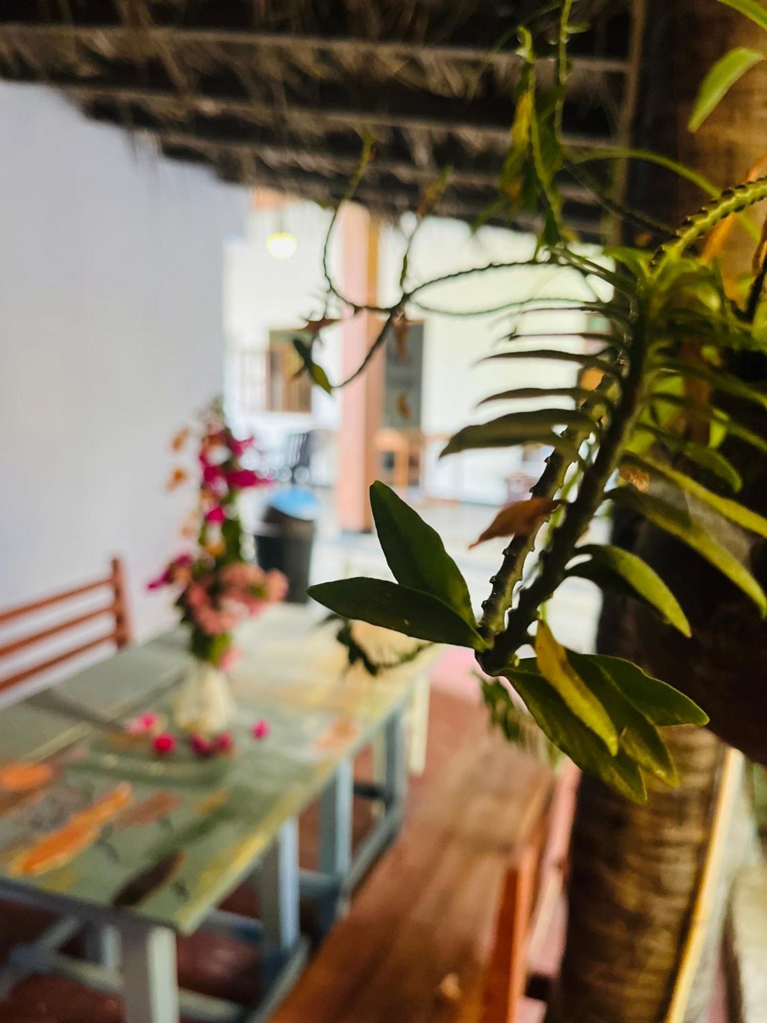 Lobster Inn Trincomalee Luaran gambar