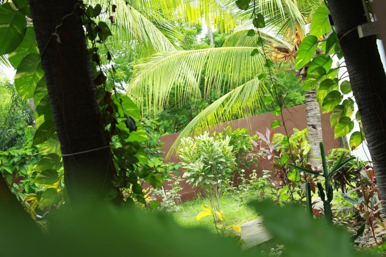 Lobster Inn Trincomalee Luaran gambar